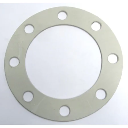 C153- GASKET FLANGE PLATE 4SW06417-1 302909P