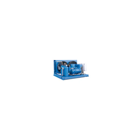 Unidad semi-hermética condensada por aire FRASCOLD LB2-D213-0Y-2M
