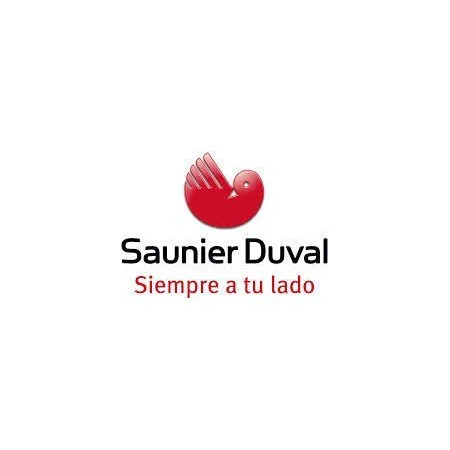 PLACA DE CONTROL CALDERA SAUNIER DUVAL THERMACLASSIC F 25 E